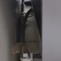 ماشین ظرفشویی ۶ نفره