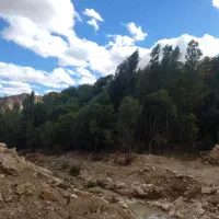 خریداراولاغ گوسفندروهستم