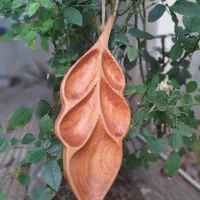 اردوخوری،تخته سرو،قاشق،کفگیر،ملاقه چوبی دستساز