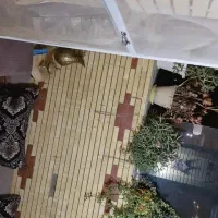 اپارتمان100متریدوخوابه|فروش آپارتمان|خوی, |دیوار