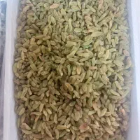 کشمش سبز