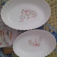 دو تا ظرف مرغ یا سالاد خوری چینی