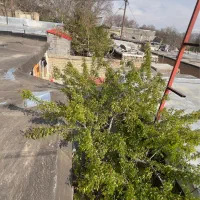 185متر-خانه-قدیمی-سند-شش-دانگ-جابان
