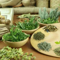 آموزش طب سنتی و اشتغال پایدار|خدمات آموزشی|تهران, آشتیانی|دیوار