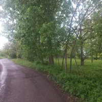 ۵۰۰متر زمین مسکونی براسفالت
