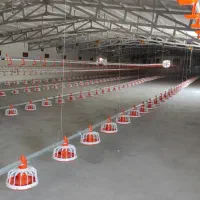 خریدوفروش تهجیزات مرغداری