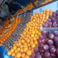 وسایل کامل میوه فروشی|فروشگاه و مغازه|قروه, |دیوار