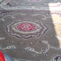 فرش ۱۲ متری دو قلو|فرش|بهبهان, |دیوار