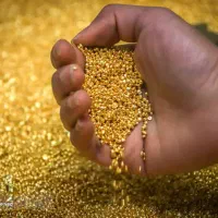 اجاره طلای آبشده(فقط به صنف طلافروشی)