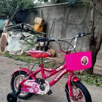 دوچرخه۱۲دخترانه درحد