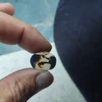 شجر نخل درختی