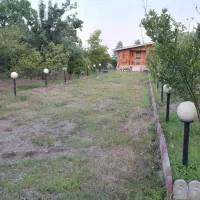 ویلایی فومن تونل سبز لوکیشن فوق‌العاده
