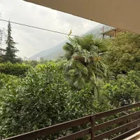 فروش ویلا باغ ۵۰۰متری چسبیده ب جنگل جنب نمک آبرود|فروش خانه و ویلا|هچیرود, |دیوار