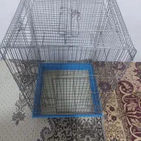 یک اعدد قفس برای عروس هلندی|لوازم جانبی حیوانات|کرج, ملک‌آباد|دیوار