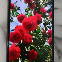 گوشی شیائومی نوت 12پرو