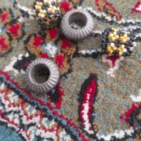 ۴ عدد چوری کفتر