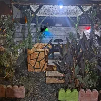 اجاره ویلای مبله ساحلی در محمودآباد