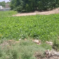 زمین فروشی|فروش زمین و ملک کلنگی|اقلید, |دیوار