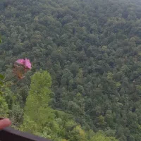 زمین مزروعی باغ ویلا نرسیده به رشتقون کوچه نجاری