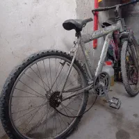 دوچرخه|دوچرخه، اسکیت، اسکوتر|بجنورد, |دیوار