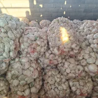 محصولات کشاورزی