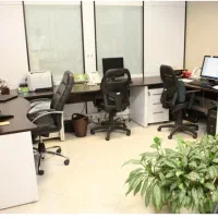 نیازمند نیروی خانم