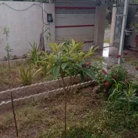 ۱۸۷متر با بنای ۷۵متری در بهترین جایگاه گورابزرمیخ|فروش خانه و ویلا|گوراب زرمیخ, |دیوار