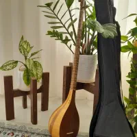سه تار شیدا|سازهای سنتی|فردوس (خراسان), |دیوار