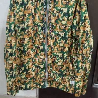 بادگیر ارتشی