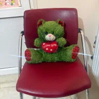 صنذلی|دفتر کار|شیراز, لاله|دیوار