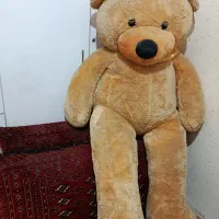 خرس تدی بزرگ خارجی