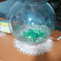 تنک بزرگ|ماهی|کرمان, |دیوار