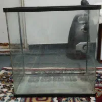 آکواریوم