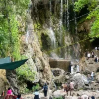 همراهی در سفر