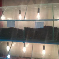 دان قهوه و پودر قهوه