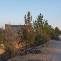 باغ ۲۰۰۰ متری روبروی اسنوا با درختان پسته پیوندی|فروش دفتر صنعتی، کشاورزی، تجاری|شاهین‌شهر, مورچه خورت|دیوار