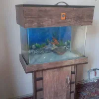 آکواریوم شیشه خم