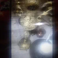 لوازم منزل لوکس و قدیمی|کلکسیون اشیاء عتیقه|دورود, |دیوار