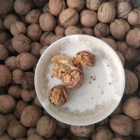 گردو خشک مرغوب