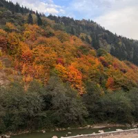 نیازمند کارگر ساده|استخدام سرایداری و نظافت|آلاشت, |دیوار