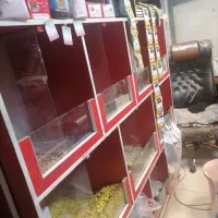 ویترین مغازه