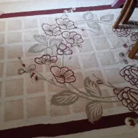 فرشینه|فرش|بندر انزلی, متروپل|دیوار