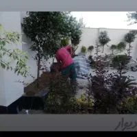 اجرای فضای سبز|خدمات باغبانی و درختکاری|کرج, کیانمهر|دیوار