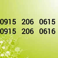 0915-206-0615