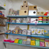 ملزومات پرنده|پرنده|خرمشهر, |دیوار