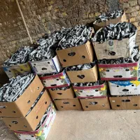 زغال پسته قلم سفید|عمدهفروشی|اردکان, |دیوار