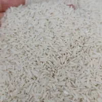 فروش نارنگی یافا و پرتغال تامسون|خوردنی و آشامیدنی|پرهسر, |دیوار