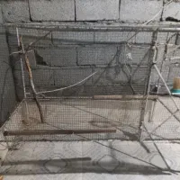 قفس پرنده محکم