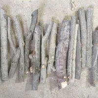 هیزم دورهمی (با قرص خودسوز)|کوهنوردی و کمپینگ|قم, بیانی|دیوار