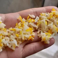 برنج طارم محلی معطر ومرغوب|خوردنی و آشامیدنی|ساری, |دیوار